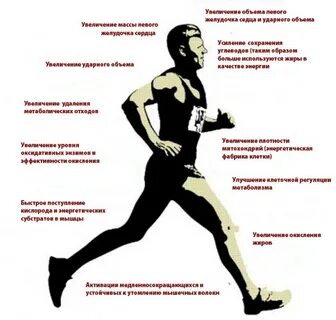 Как улучшить выносливость при беге
