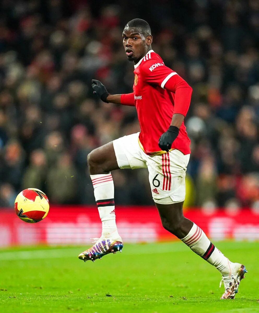 Даниэла каннаваро. En premier. En premier. Арсенал уотфорд личные встречи футбол. En premier.