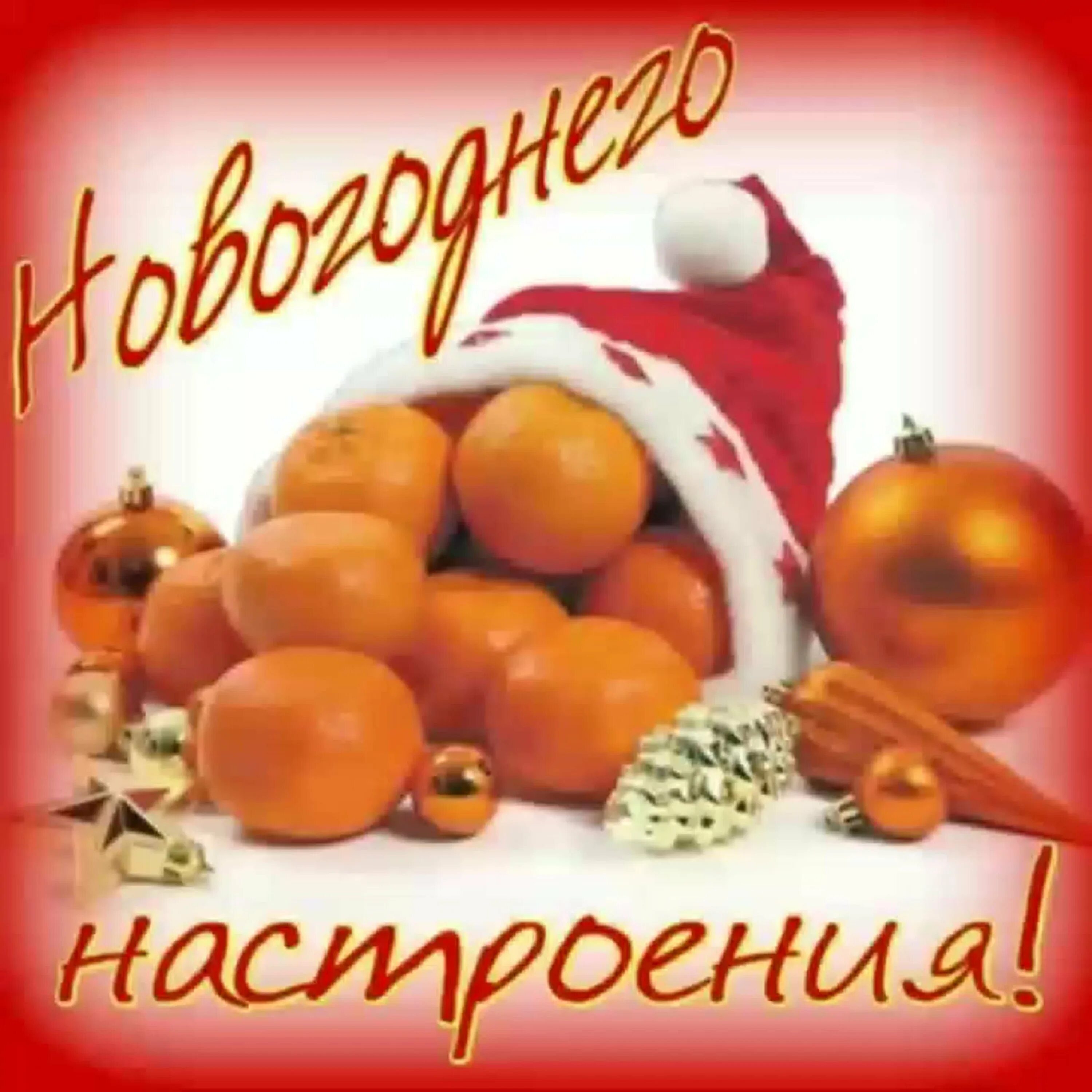 Картинки отличного предновогоднего настроения. Новогоднего настроения открытки. хорошего новогоднего настроения. прекрасного новогоднего настроения. доброе утро с наступающим новым годом.