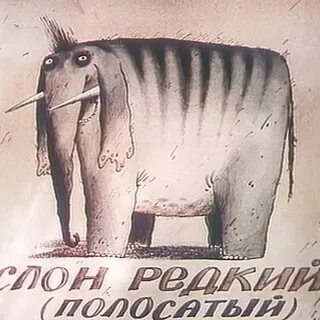 Пилоты слон