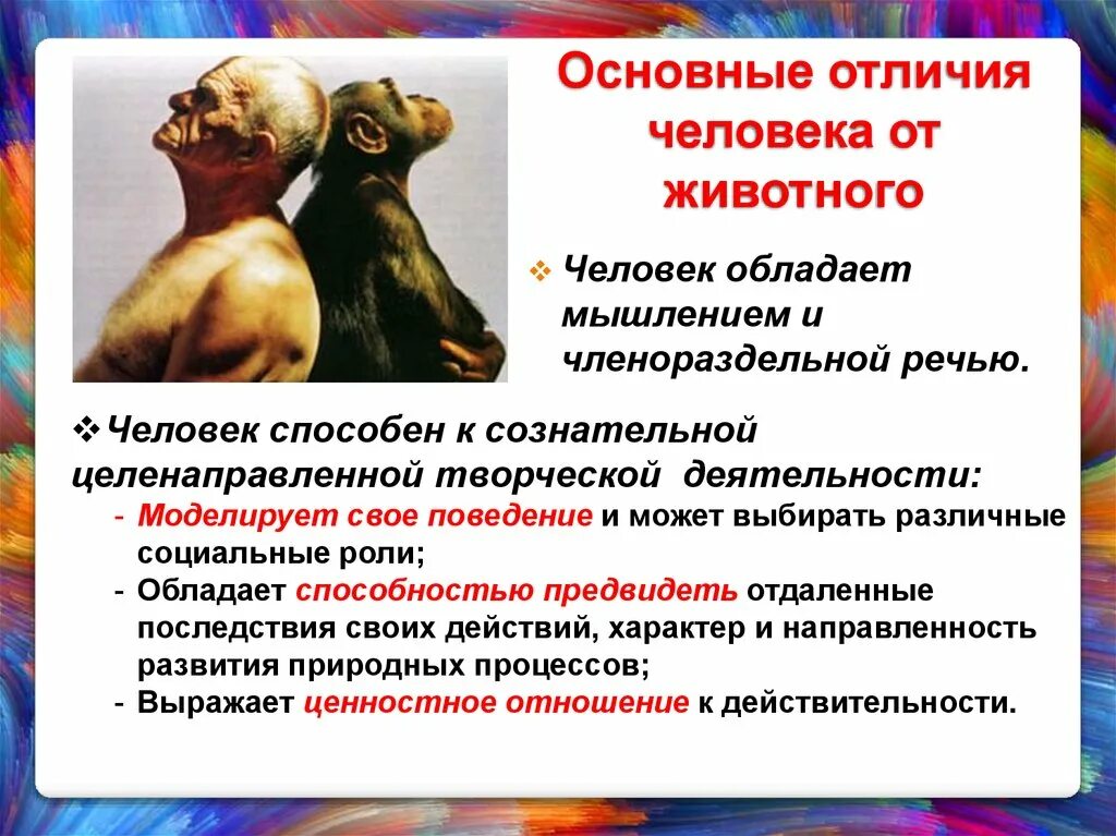 Человека от животного отличает особенность. Человек и животное различия. Отличие человека от животных. Чем человек отлечаетсяот животных?. Отличие человека от других животных.