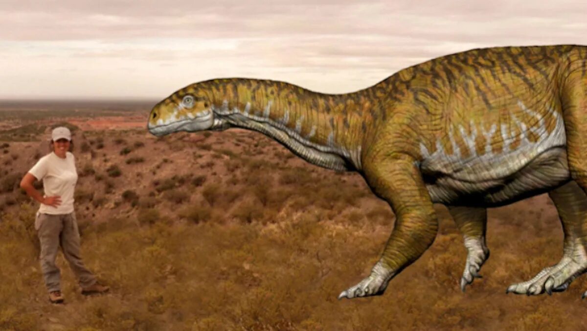 Какой 1 динозавр. Гигантские динозавры. Гигантские травоядные динозавры. Огромный динозавр. Самый большой динозавр.