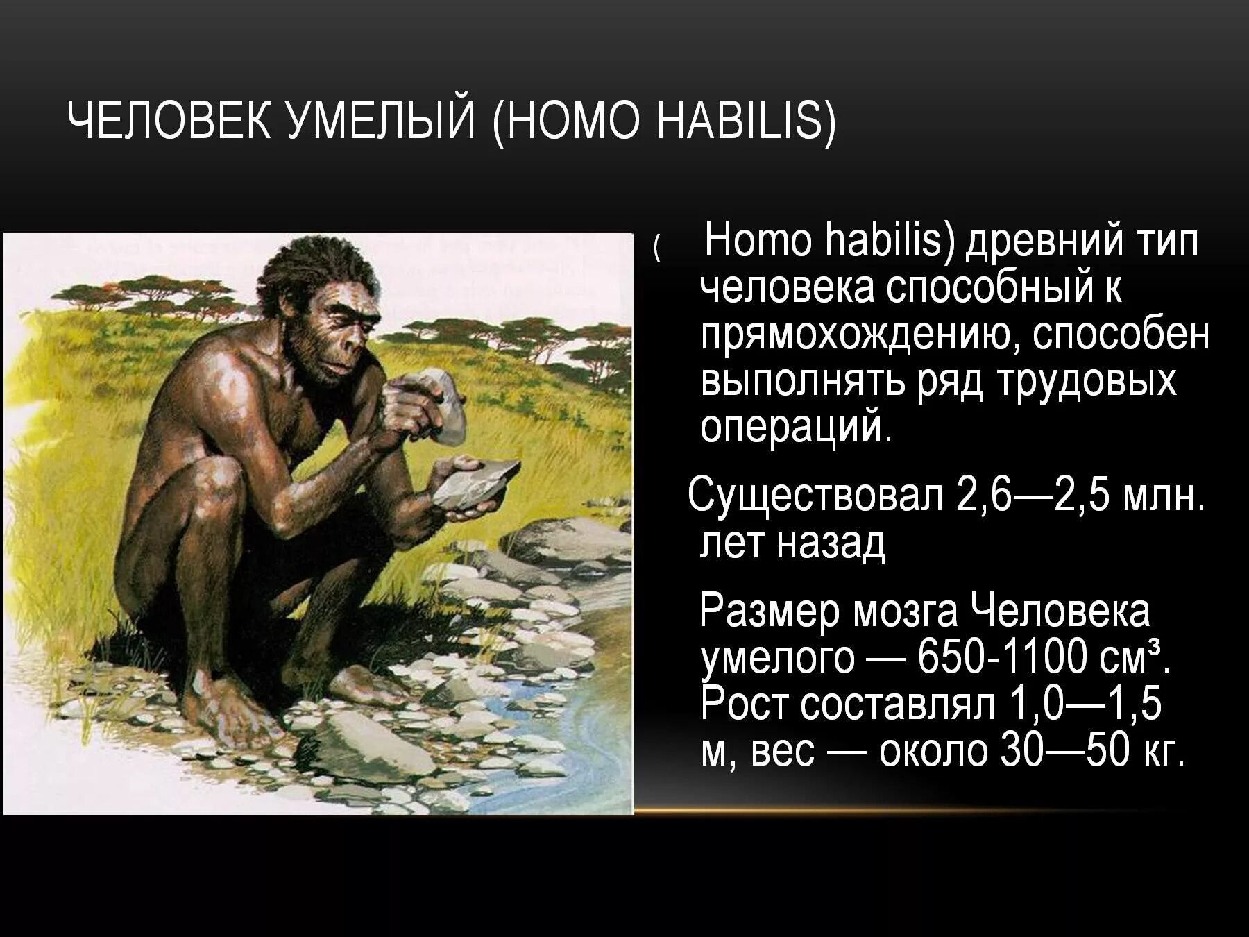 Почему одного из предков назвали человеком умелым