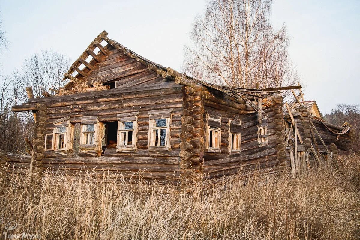 Костромские дома отзывы. Деревня Слуда Чухломской район Костромской области. Рыково деревня Чухломской район. Деревня Рагозино Чухломского района Костромской области. Алешково Костромская область.