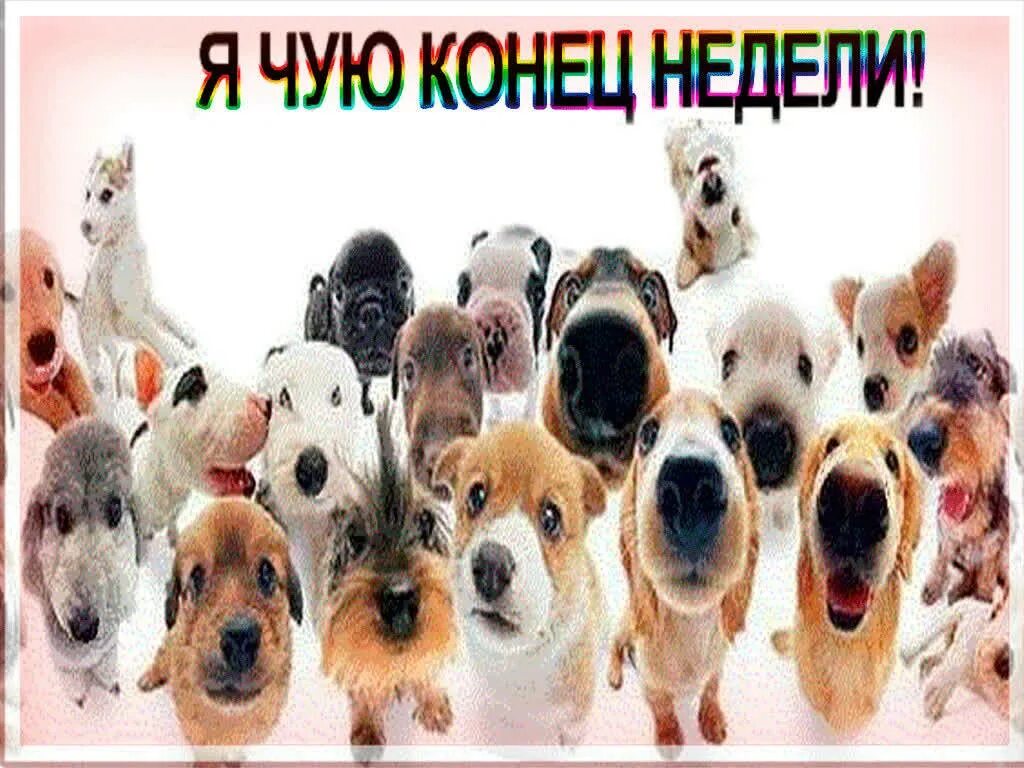 Завершение недели картинки. Пятница конец недели. конец рабочей недели. с окончанием рабочей недели. открытка конец недели.