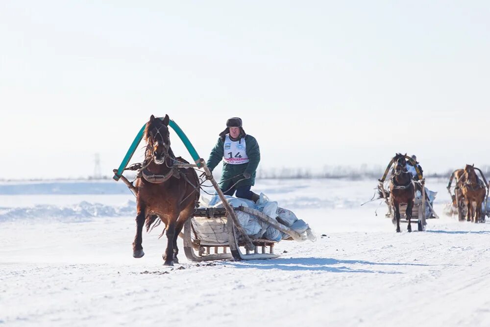 Усть-Цильма. Село Ижма Республика Коми. Усть-Цильма Коми. Погода в ижме рп5