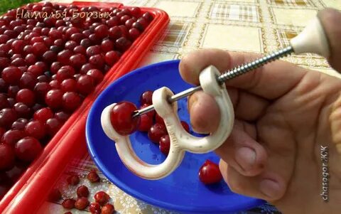 Сколько вишневых косточек