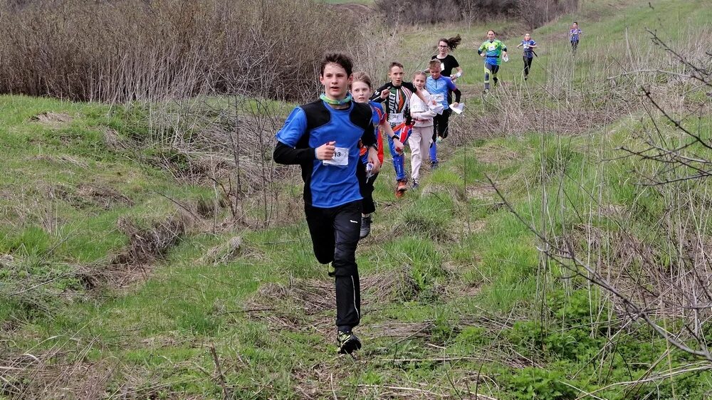 Спортивное ориентирование павловск. Спортивное ориентирование спринт. кросс лонг в ориентировании это. лонг в спортивном ориентировании. спортивное ориентирование кросс.