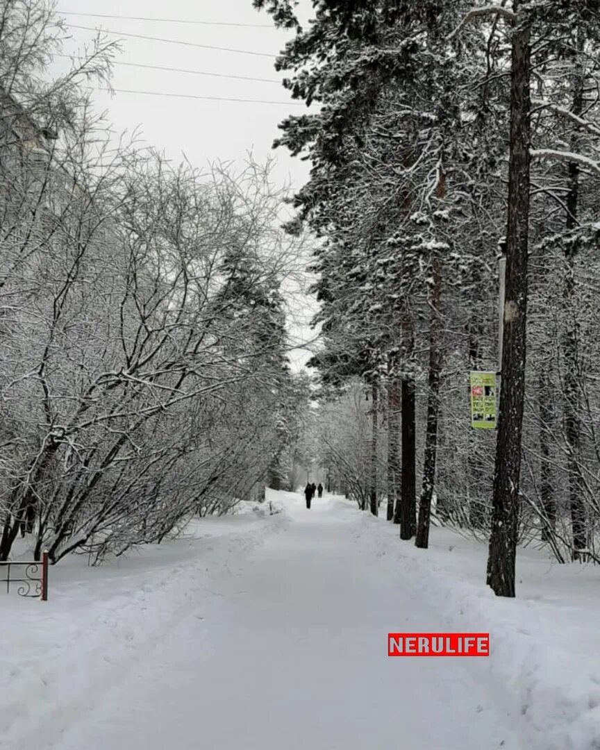 Нерулайф. Нерюнгри зима. Якутск зимой. Теплая зима. Нерюнгри природа.