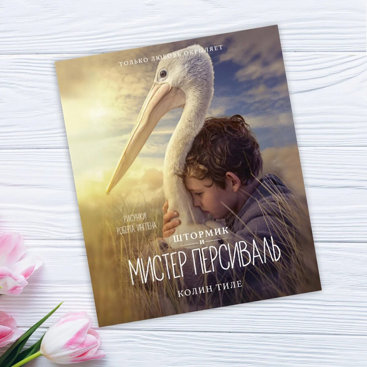 Storm boy мой друг мистер персиваль. Мой друг мистер персиваль (2019). Мистер персиваль. Storm boy мой друг мистер персиваль. «мой друг мистер персиваль», 2019г.