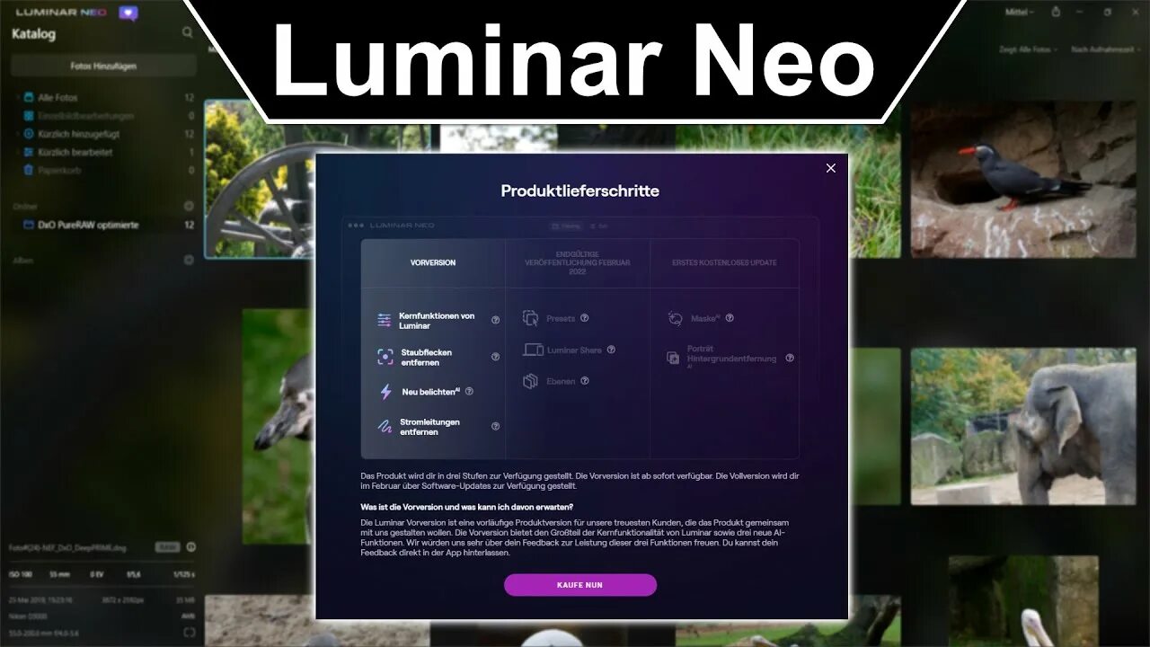 Luminar neo