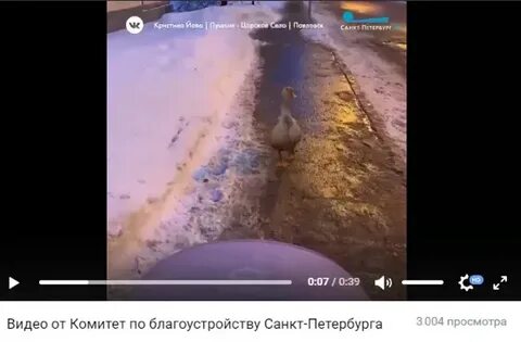 Угроза петербургу