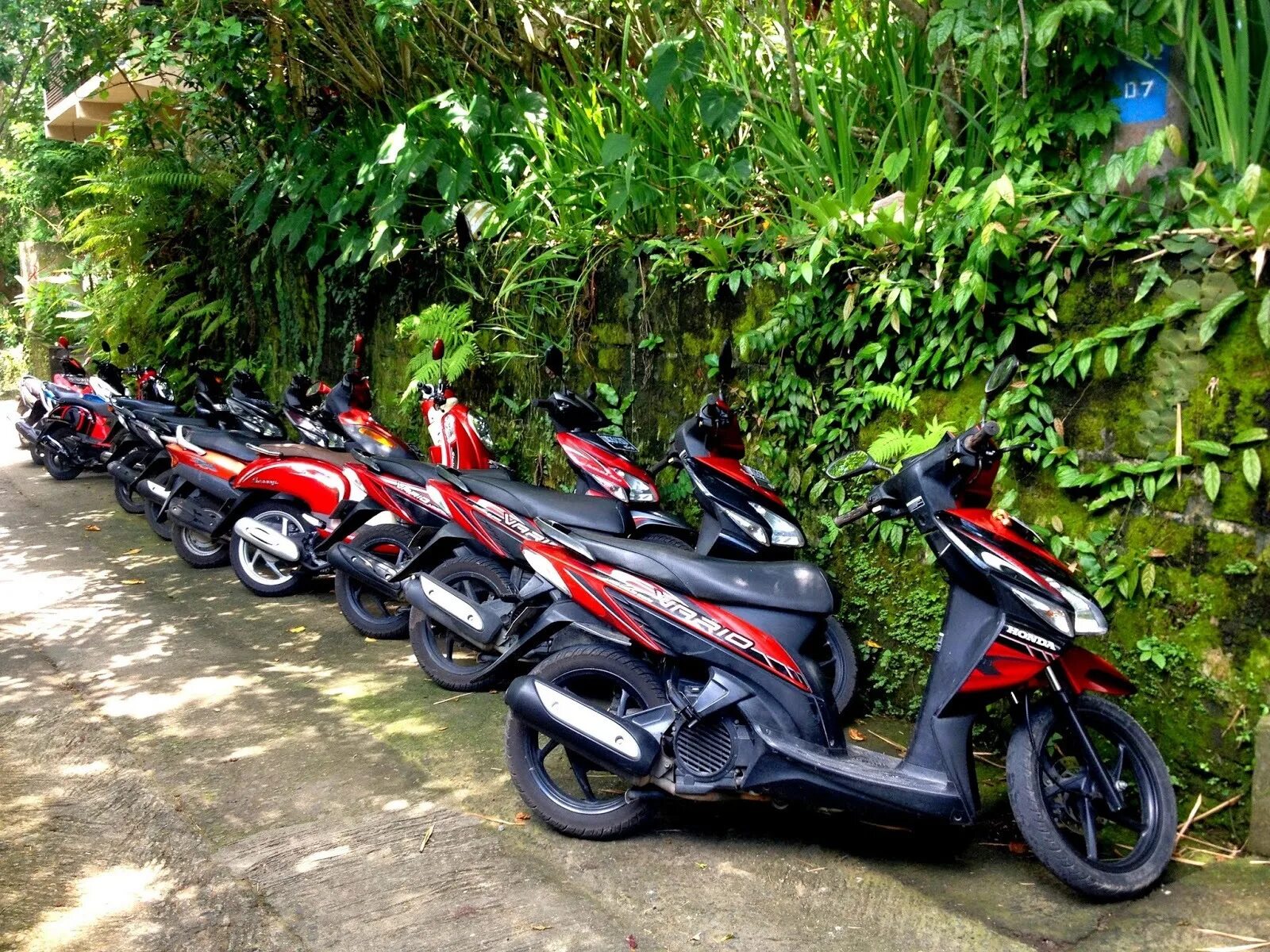 Снять скутер на кубе. Байк на Бали. Скутеры Honda в Тайланде. Мотобайк Honda в Тайланде. Honda байк Бали.