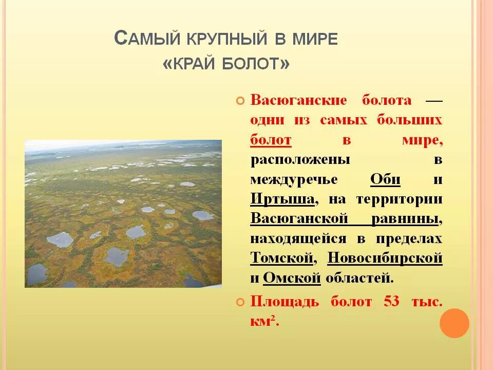 Выше самой высокой части. Большое Васюганское болото на карте России. Самое большое болото. Самое большое болото в мире. Самое большое болото в мире российское.