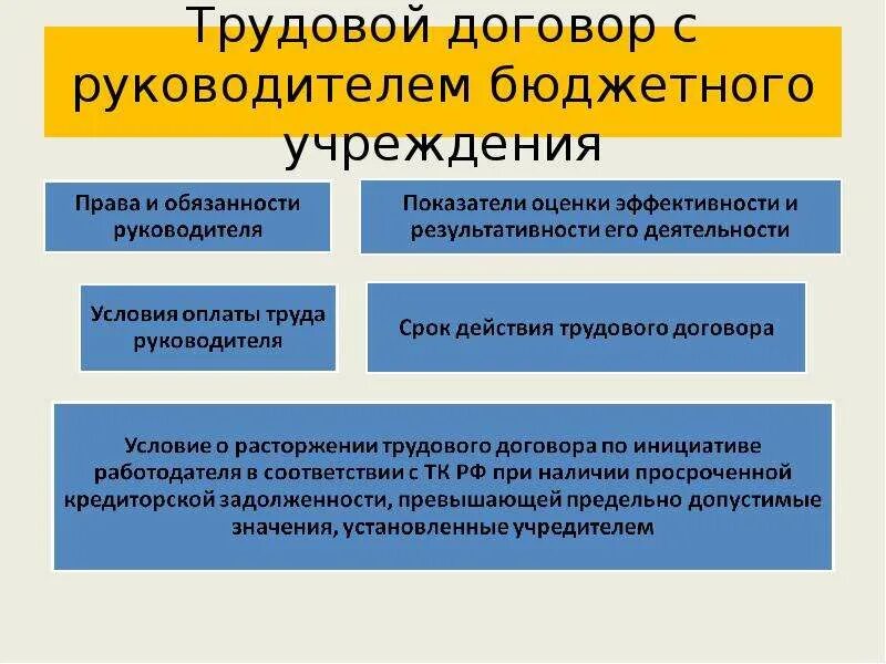 Руководитель бюджетного учреждения. Директору бюджетного учреждения. Руководитель бюджетной организации. Правовой статус руководителя организации в трудовом праве. Главы бюджетных учреждений