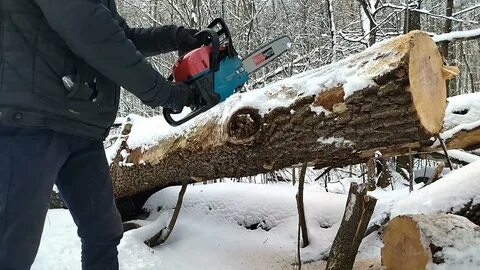 Мацумото бензопила