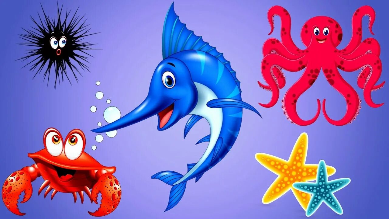 Морские обитатели для детей. Детям видео про морских. Подводный мир для детей. Подводный мир для детей. Мультфильмы про обитателей морей.