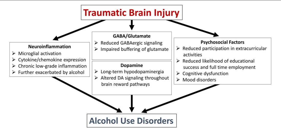 Neonatal Brain injury inflammation. TBI И её сигналы. Psychological mechanism of Trauma.