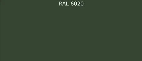 6020