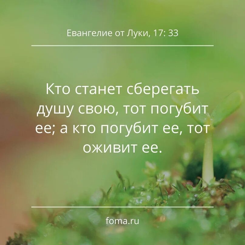 Просите и дано будет вам ищите и найдете стучите. Просите и дано будет вам Библия. Просите и дастся вам Евангелие. Просите и дано будет картинки.