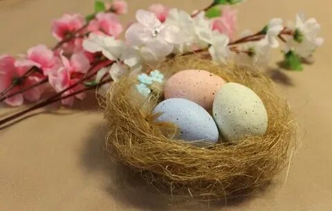 Сделать гнездо для яиц своими руками