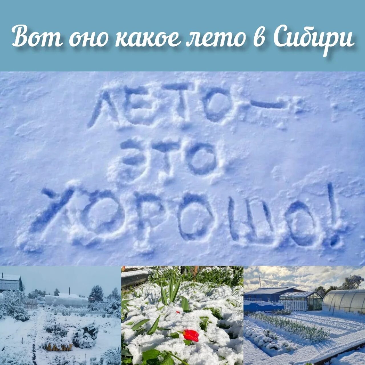 В каком году был снег в июне. Летом выпал снег. снег в июне. снег в томске. снегопад в томске.