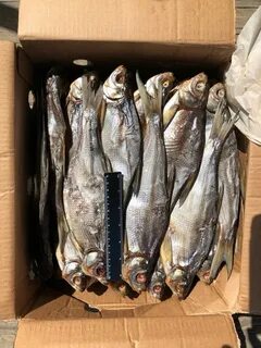 Продам вяленая рыба