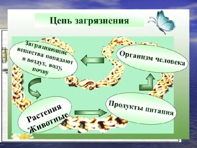 Путь поступления загрязняющих веществ. Цепь загрязнения рисунок. модель поступления загрязняющих веществ в организм человека. цепочки загрязнения от заводов.