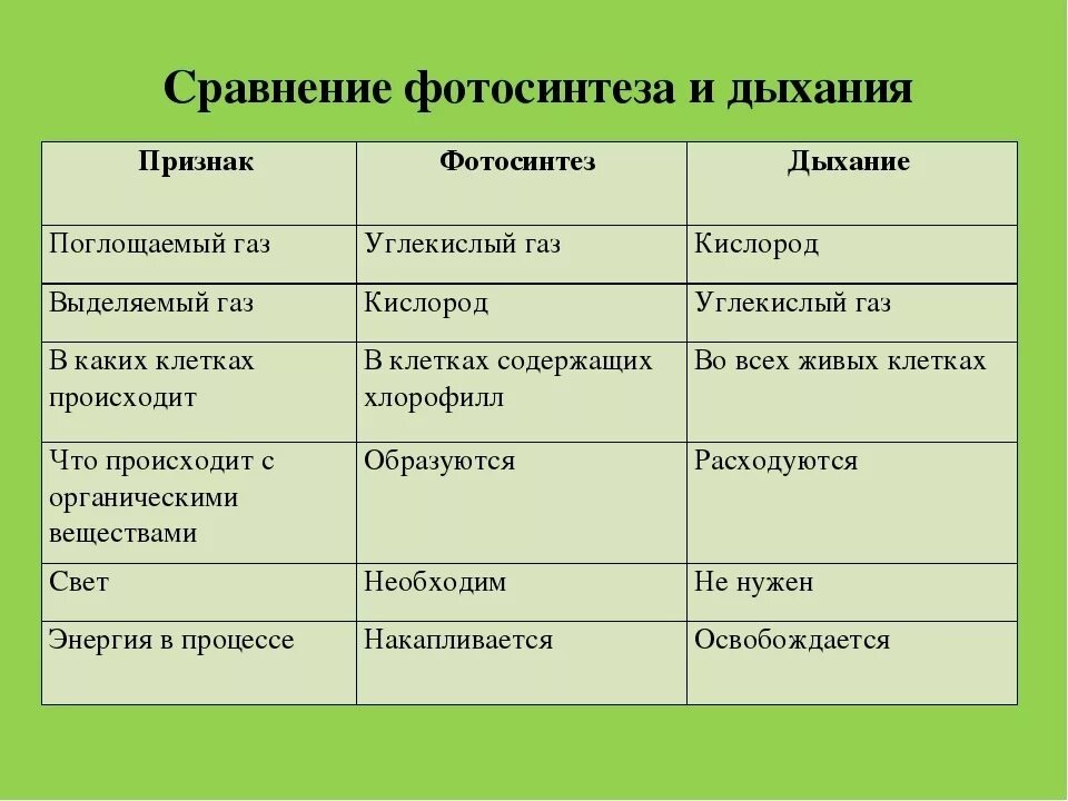 Таблица взаимосвязь процессов фотосинтеза и дыхания