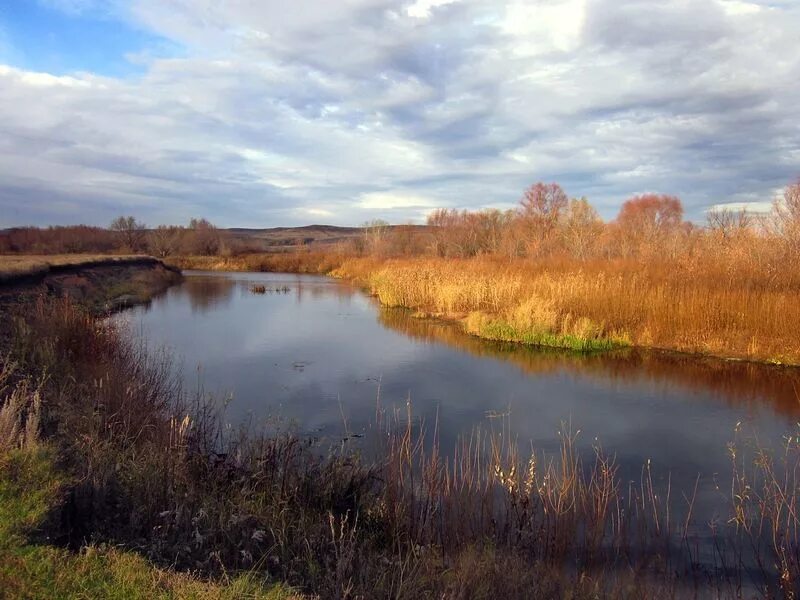 Река большой кинель в самарской области. Река малый Кинель. Река большой Кинель Оренбургской области. Малый Кинель Самарская область речка.