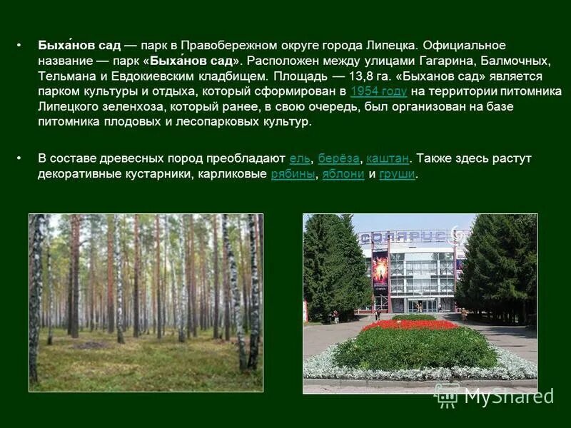 Ботанический сад презентация. Что можно рассказать о садах. Что можно рассказать о садах. Ботанический сад презентация. Сад плодовых для презентации.