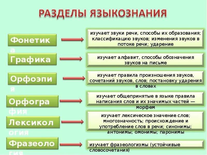 Фонетика и орфоэпия. Фонетика и Графика. Фонетика орфоэпия Графика орфография. Что изучает фонетика Графика и орфоэпия. Лексика звук в