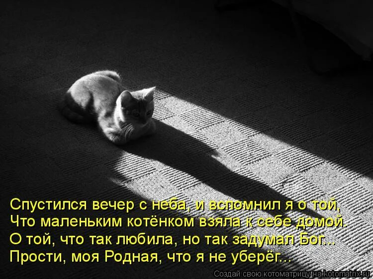 Опустился вечер слушать. Спустился вечер. Вечер опустился. Вечер опустился стихи. Цитаты про вечер.