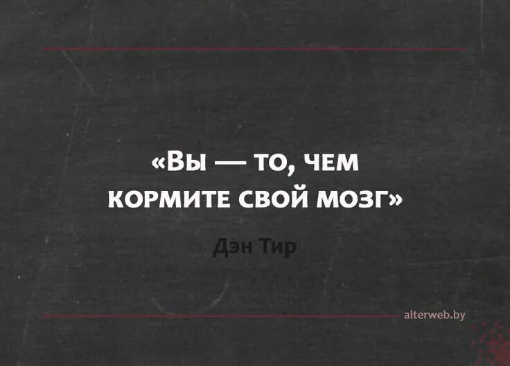 Подкормить мозг. Притча о двух волках. Хомяк демотиватор. Какого волка ты кормишь лень. А ты чем кормишь.