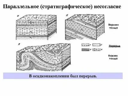 Толщ