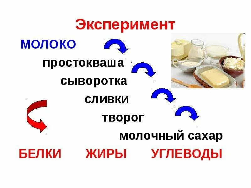 Эксперименты с молоком. Сахар белки жиры. Молоко белки жиры углеводы. БЖУ сыворотки молочной. Сколько белков жиров и углеводов в твороге