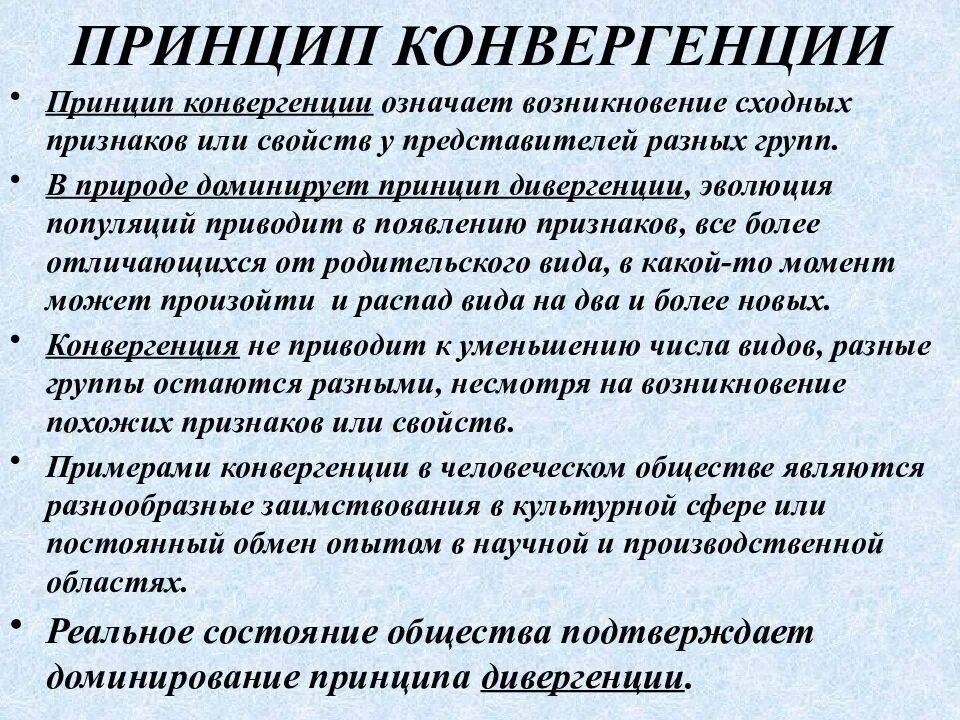 Принцип конвергенции. Принцип конвергенции и дивергенции. Дивергенция и конвергенция примеры. Принцип единства дивергенции и конвергенции. Тип конвергенции