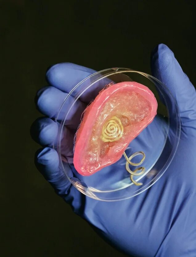 Биопечать тканей и органов. Антидопинговая лаборатория. Роботы в торговле. Искусственно расширенный. Мозг компьютера.