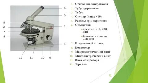 Для чего нужен тубус в микроскопе
