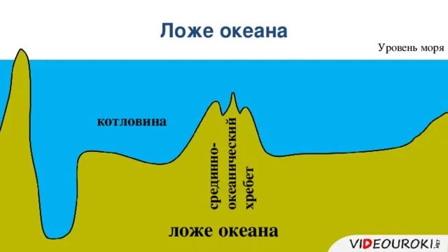 Формы дна океана. Рельеф ложа мирового океана. Рельеф дна Атлантического океана схема. Ложе океана. Океаническое ложе схема.