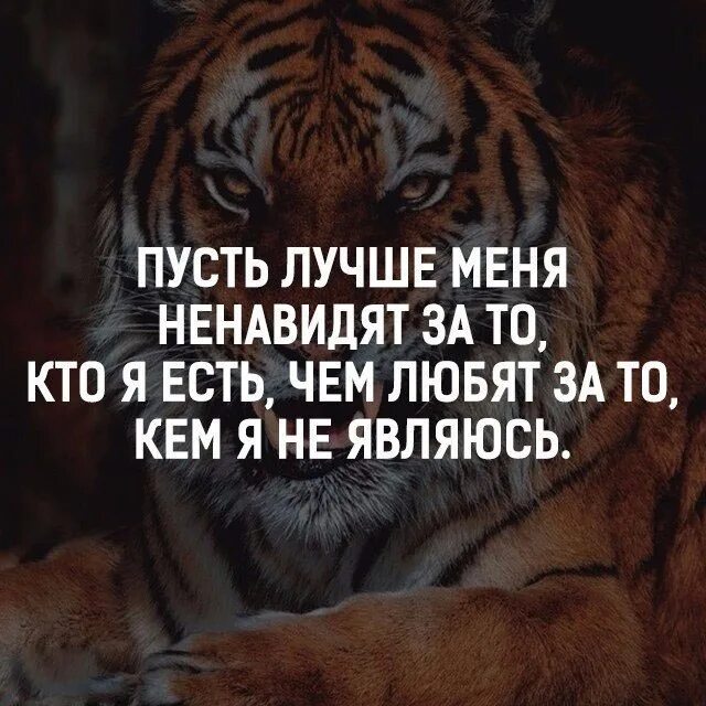 Пусть меня ненавидят тем кем я есть. Всем кто меня ненавидит. Пусть меня не навидять цитаты. Кто меня ненавидит цитаты. Кого презирал шарик больше всего