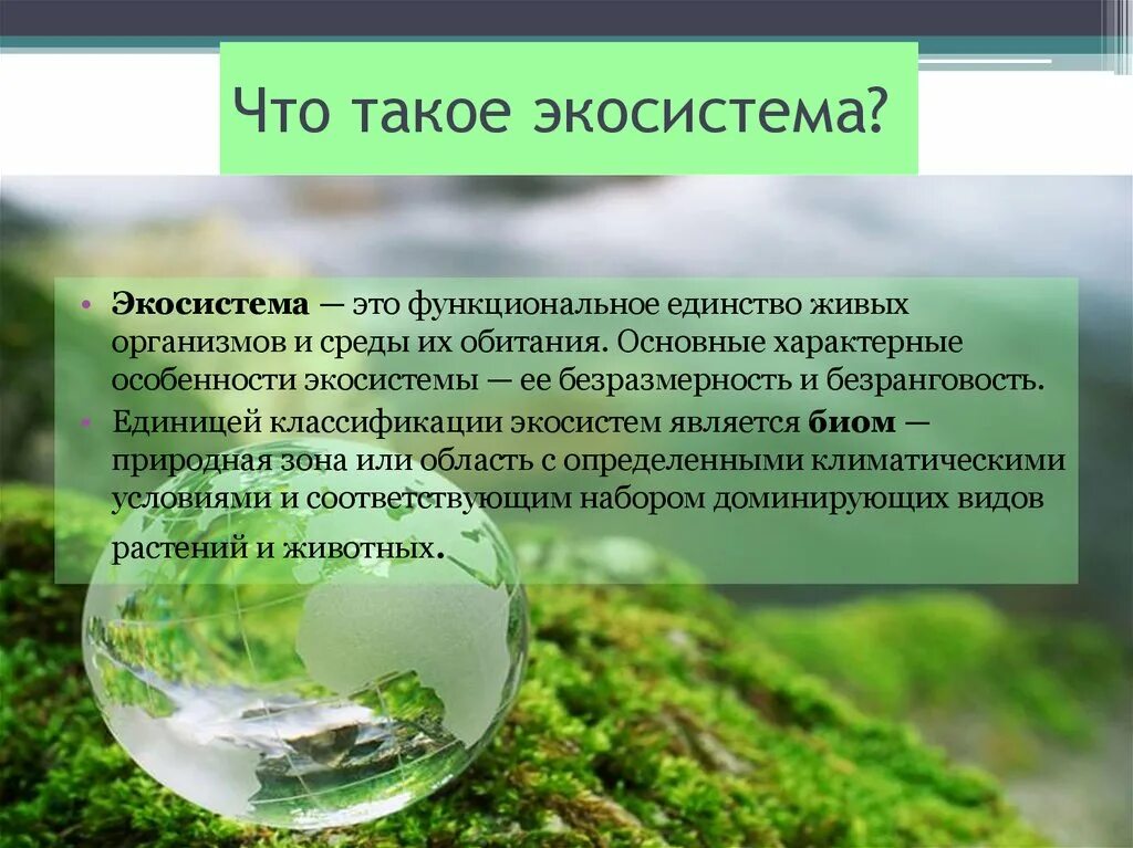 Разнообразие экологических систем. Экосистема. Эко систома. Экологическая система экосистема. Экосистема это в экологии.