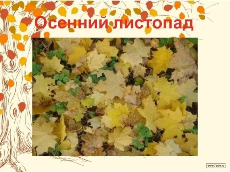 Конспект осенний листопад. Листопад презентация для детей. осенний листопад презентация. осенний листопад надпись. ноябрь листопад.