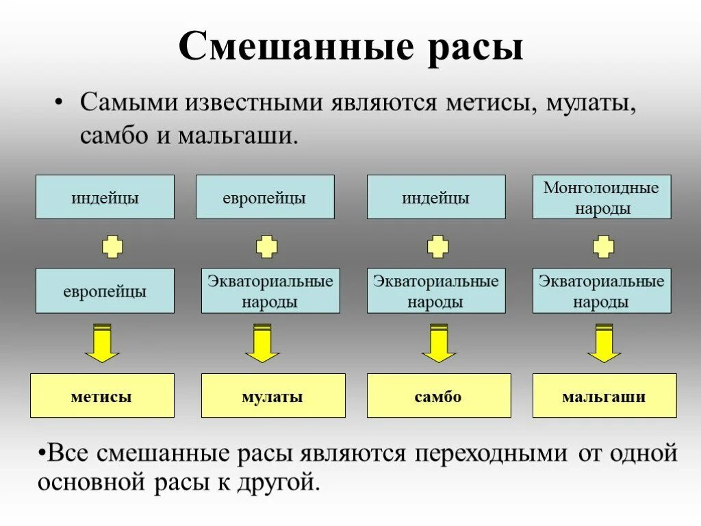 Смешанные расы людей