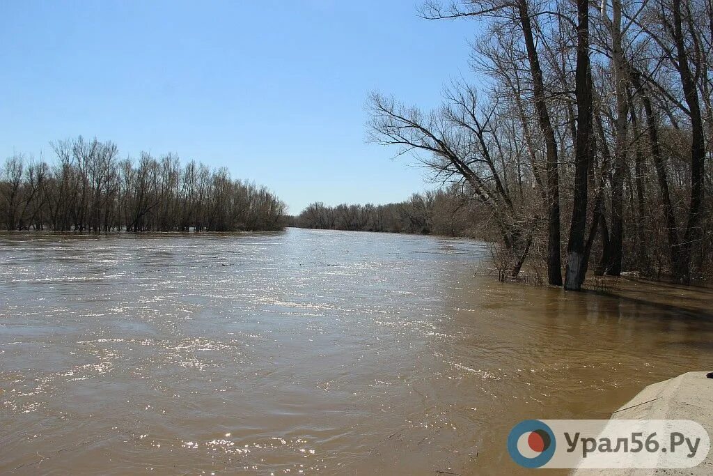 Ирикла сброс воды. Река Урал Орск. Уровень воды в Уральске. Уровень воды в реке Урал у Оренбурга. Река водохранилище  в Орске.