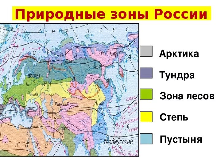 Природные условия природных зон 5 класс