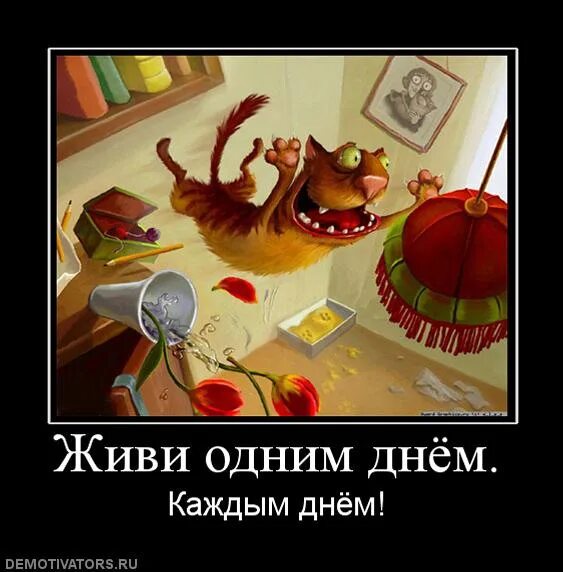 Жить под 1. Жить одним днем. надо жить одним днем. живите одним днем. живи одним днем.