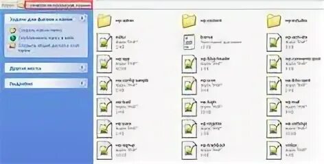Папка web