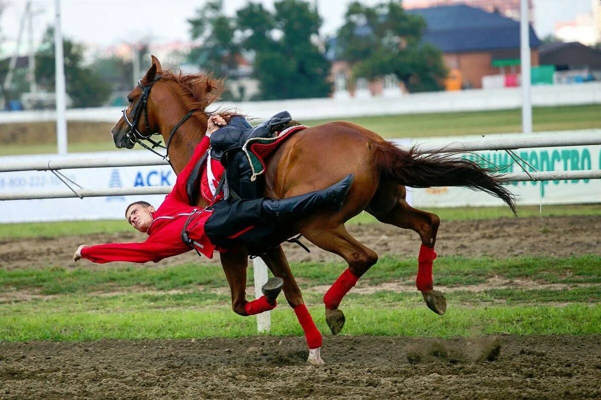 Элементы джигитовки. Дикий запад живопись фредерик ремингтон. Шуман всадник. Наездник жокей всадник. Классный час джигит.