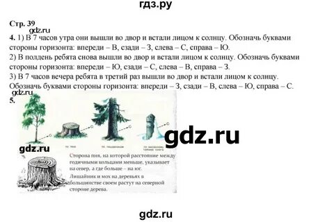 Окружающий мир плешаков рабочая тетрадь страница 39